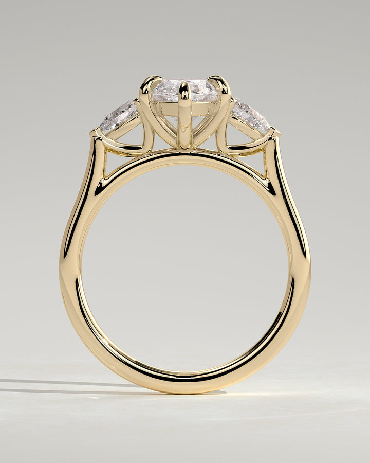 A Special Engagement Ring