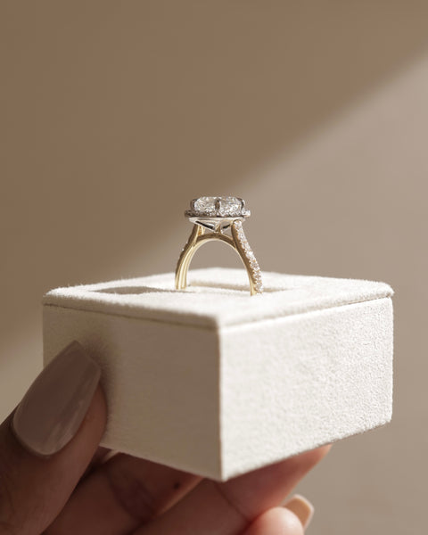 Detailed view of cushion E VS2 lab grown diamond halo cathedral pavé engagement ring showing clarity and pavé sparkle
