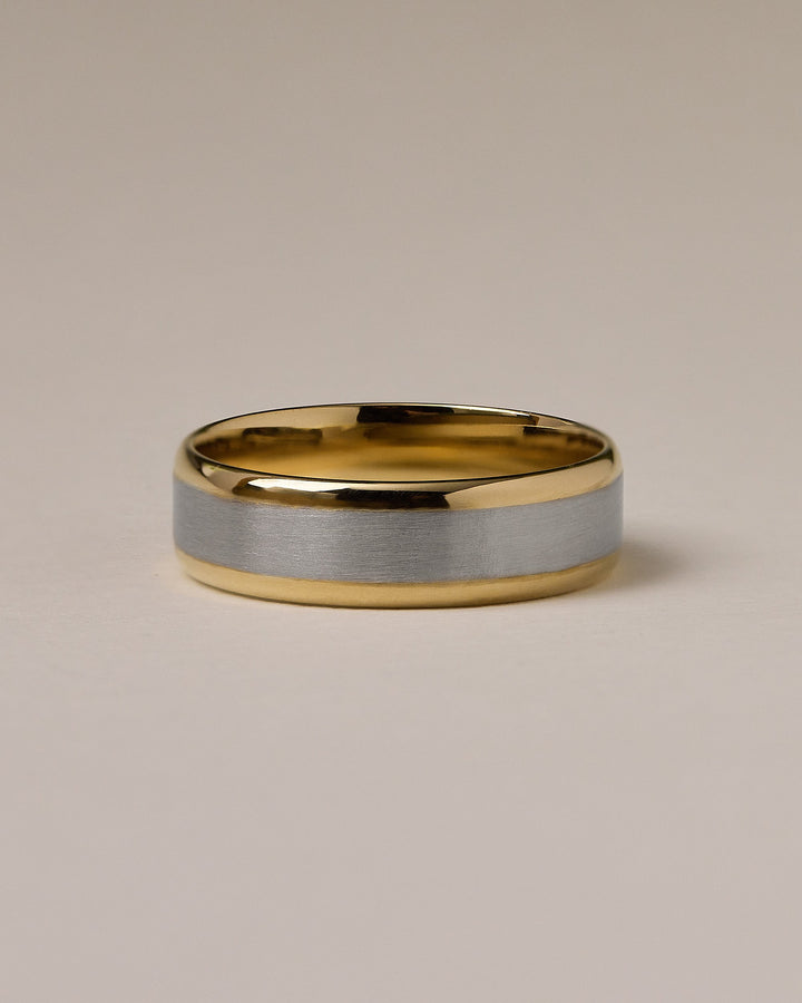 Men's Two-Tone Brushed Center Wedding Band