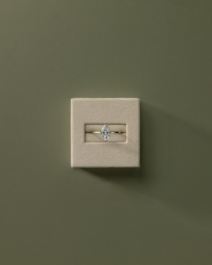 Wedding Proposal Ring
