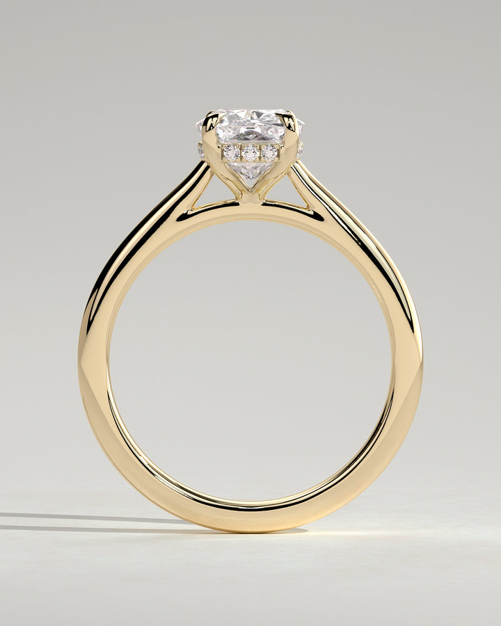 expensive engagement ring