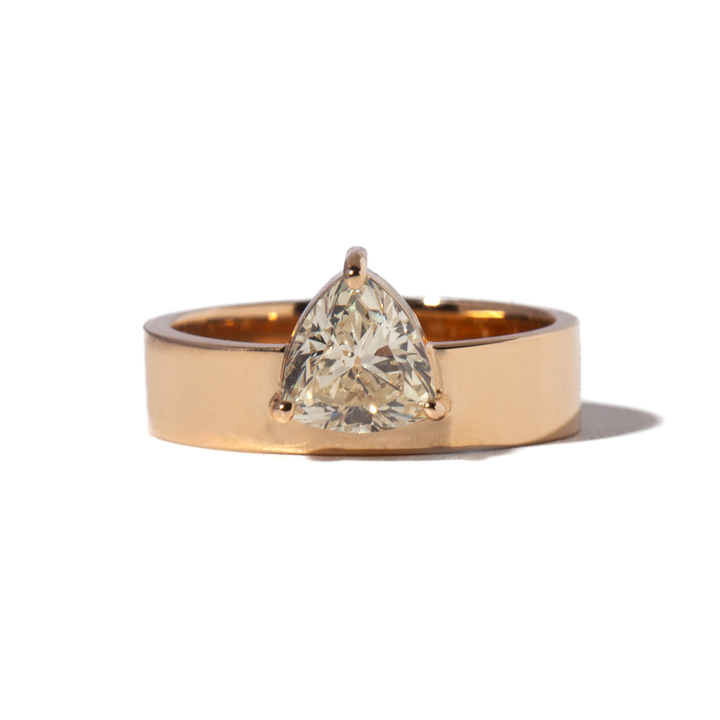 1.0CT Trillion Cut E/VS1 Lab Grown Diamond Monolith Engagement Ring