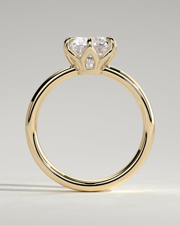 round diamond ring unique setting